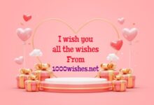 wishes & Happy birthday to animal lovers