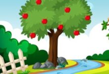 ברכת האילן - אגדה וסיפור עם מוסר השכל / 3 דקות קריאה 17 ברכת האילן סיפור ואגדה עם מקורות, ראש השנה לאילנות, שירת הים